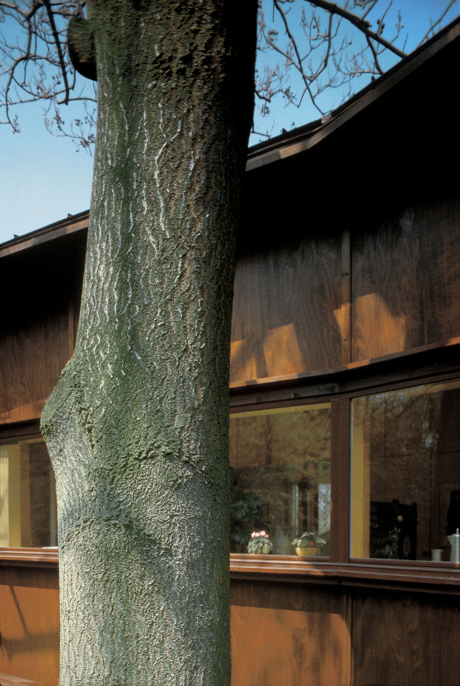 027 Plywood House – Herzog & de Meuron